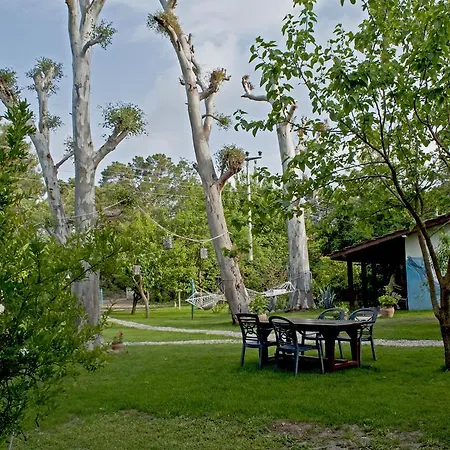 Hobbit Evi