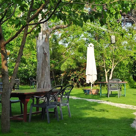 Hobbit Evi Çıralı