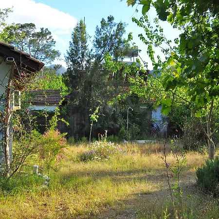 Hobbit Evi Pensión Çıralı