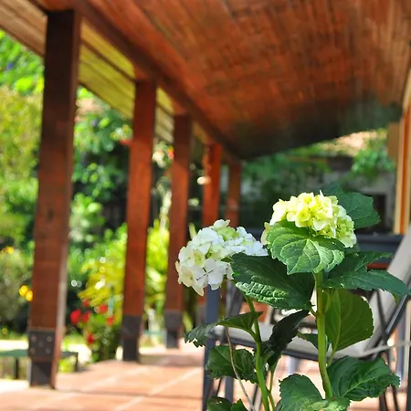 Hobbit Evi Konukevi