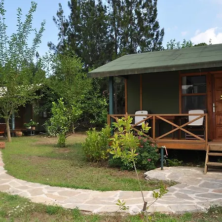 Hobbit Evi Pensiune