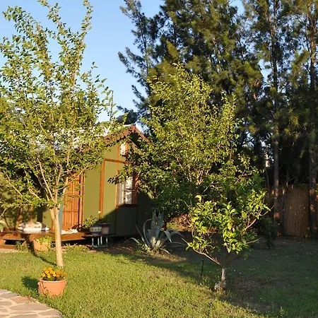Hobbit Evi *